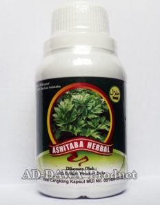 Grosir Ashitaba manfaat herbal anti hipertensi seledri jepang